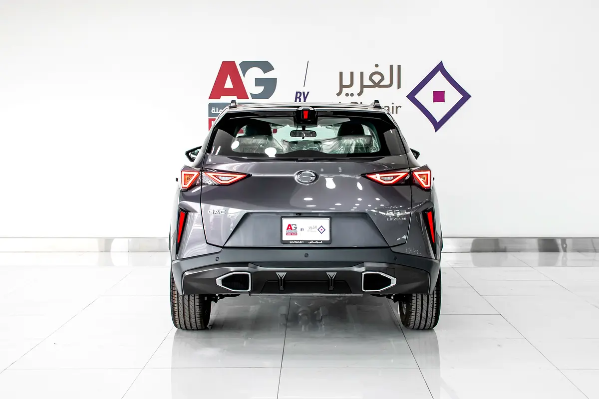 GAC · EMZOOM · Other